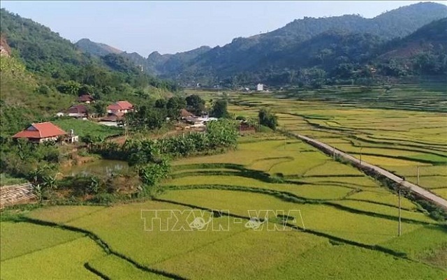 Thành phố Sơn La xây dựng NTM (Ảnh: TTXVN)