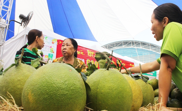 Bấp bênh đầu ra khiến người nông dân khó hưởng lợi