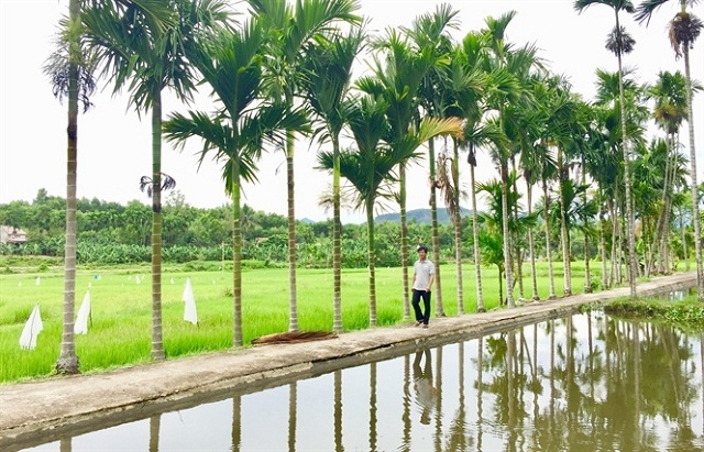 Nhiều mô hình kinh tế vườn, kinh tế trang trại của huyện Tiên Phước đang mang lại hiệu quả kinh tế cao.