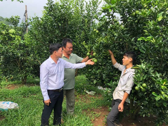 Thành viên ai cũng vui mừng vì chất lượng, sản lượng, giá thành của sản phẩm đều được nâng cao từ khi tham gia HTX