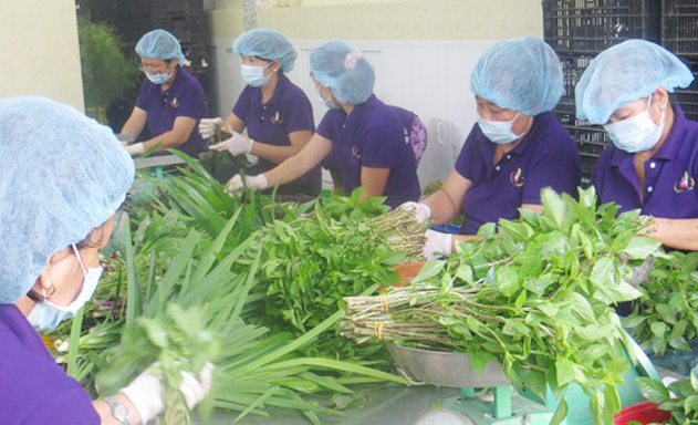 Thị trường đầu ra vẫn là bài toán khó với nông sản sạch