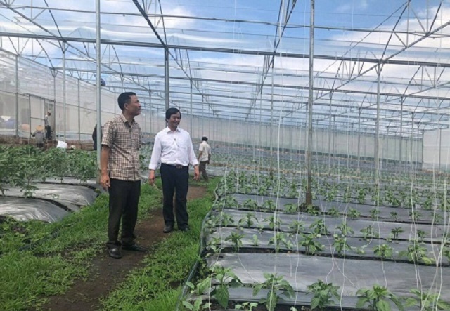 Mô hình sản xuất của HTX Đạ K’Nàng