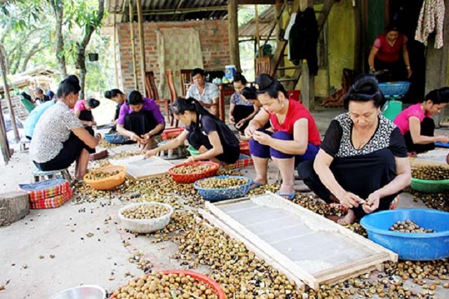 Sơn La xây dựng sản phẩm OCOP từ thế mạnh địa phương