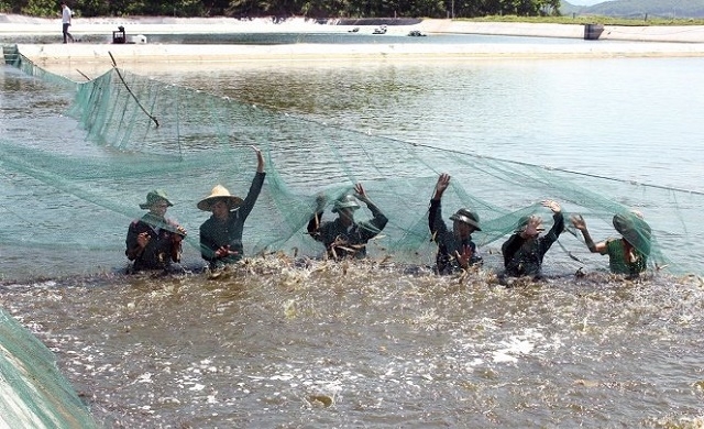 An Phúc chú trọng bảo đảm an toàn thực phẩm trong nuôi trồng thủy hải sản