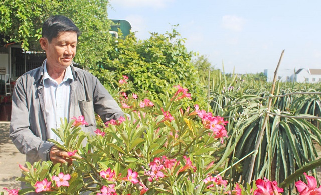 Câu lạc bộ bảo vệ môi trường đã thu hút người dân chung tay vì môi trường