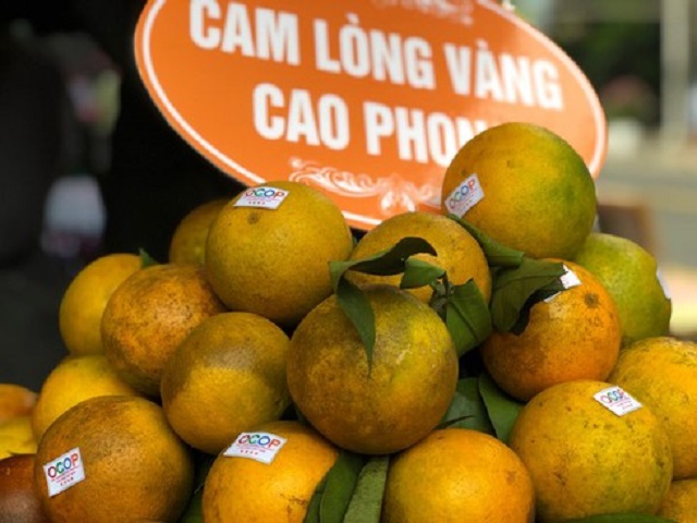 Cam Cao Phong là sản phẩm OCOP tiêu biểu của địa phương