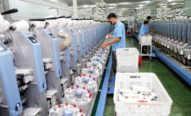 XK năm 2019 tăng 8%, gấp gần 4 lần bình quân toàn cầu