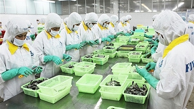 Cổ phiếu FMC của Thực phẩm Sao Ta tăng mạnh trước thềm chia cổ tức