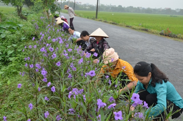 Cảnh rác thải bừa bãi trên những tuyến đường nay đã được thay thế bằng những con đường hoa