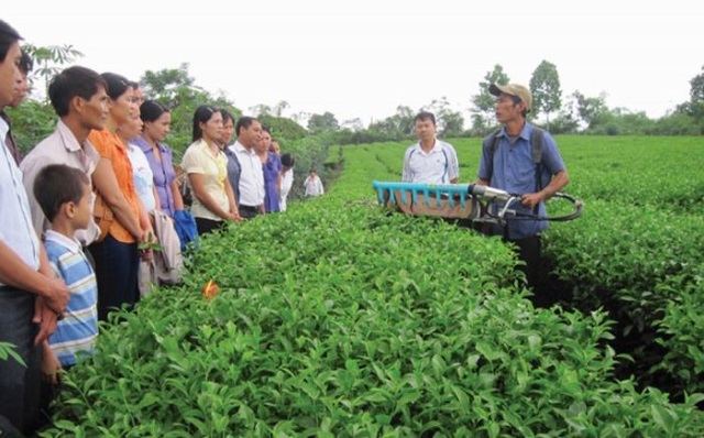 HTX làm thay đổi diện mạo nông thôn mới