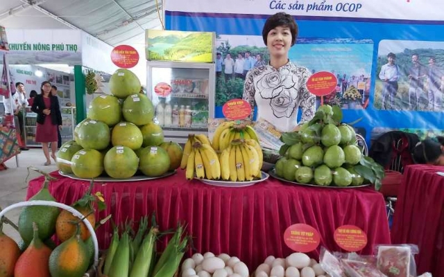 Các sản phẩm OCOP được giới thiệu tại Hội chợ.