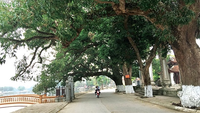 Phúc Thọ đang hướng đến mục tiêu xây dựng NTM điển hình tiên tiến