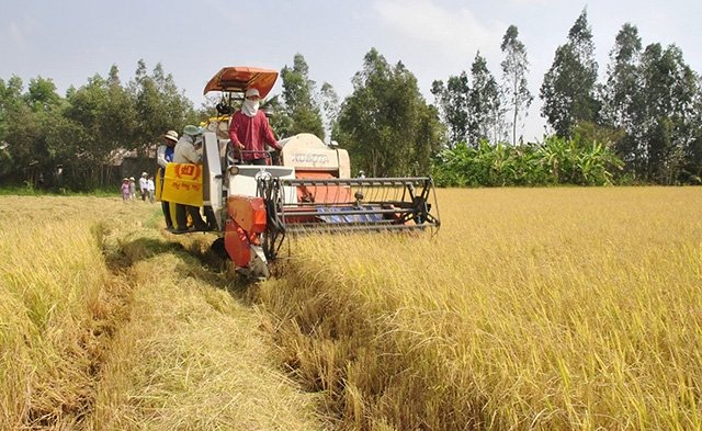 Sóc Trăng đã triển khai hiệu quả đề án tái cơ cấu nông nghiệp theo hướng nâng cao giá trị gia tăng