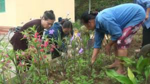 Người dân Trấn Yên, Yên Bái nỗ lực đáp ứng tiêu chí môi trường trong xây dựng NTM