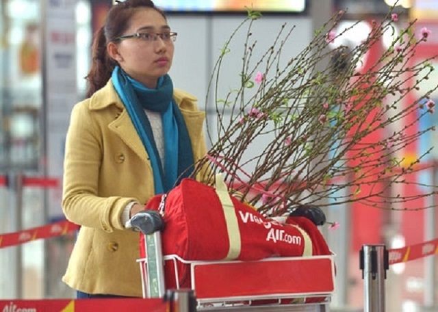 Các hãng hàng không sẽ vận chuyển mai, đào vào dịp Tết Nguyên đán