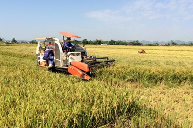 Nhờ sản xuất an toàn, HTX đang là điểm tựa cho thành viên