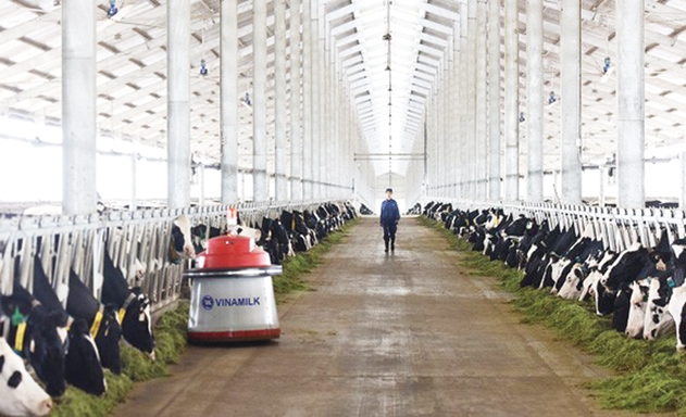 Đa dạng hóa sản phẩm chăn nuôi trong thời gian tới