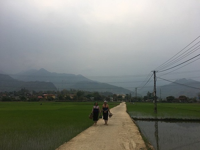 Đường làng ngõ xóm tại xã Huy Hạ khang trang sạch sẽ