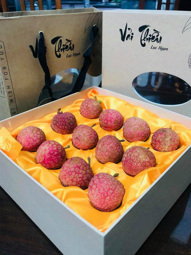 Vải thiều trồng theo quy trình hữu cơ