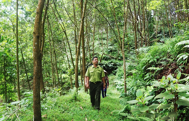 Người dân Yên Minh đã nhận thấy rằng bảo vệ rừng là bảo vệ môi trường và bảo vệ cuộc sống