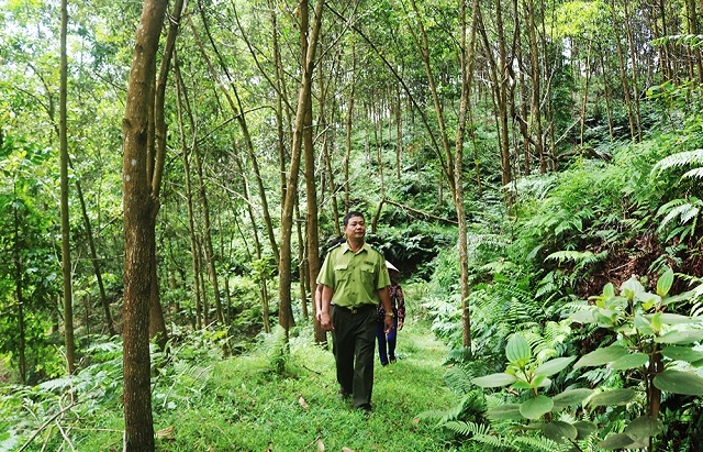 Người dân Yên Minh đã nhận thấy rằng bảo vệ rừng là bảo vệ môi trường và bảo vệ cuộc sống