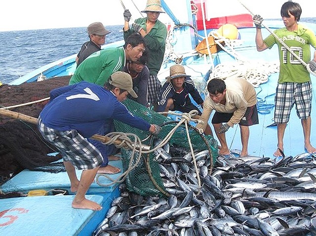 EC sẽ cho Việt Nam thêm 6 tháng để xem xét “gỡ thẻ vàng”.(Ảnh Internet)