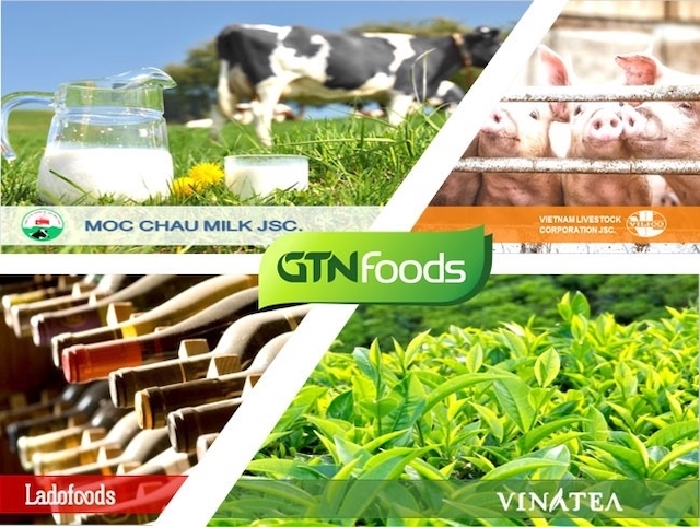 Sau khi bị Vinamilk thâu tóm, cổ phiếu GTN của GTNfoods liên tiếp giảm sâu