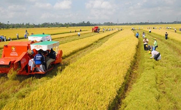 Nhà nước đã giao quyền sử dụng khoảng 90% đất nông nghiệp