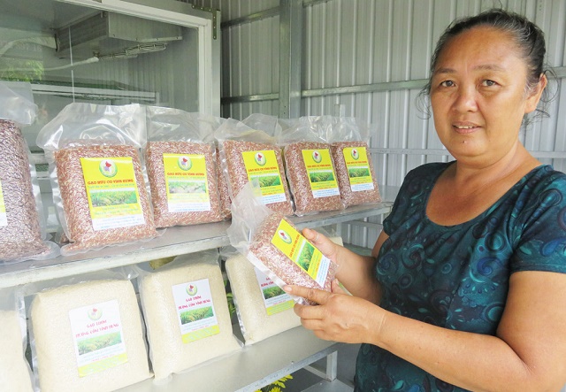 Gạo hữu cơ của HTX