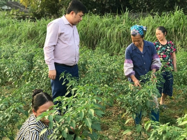Ông Đàm Thanh Hưởng, Phó Chủ tịch UBND huyện Hoà An hướng dẫn bà con chăm sóc cây ớt