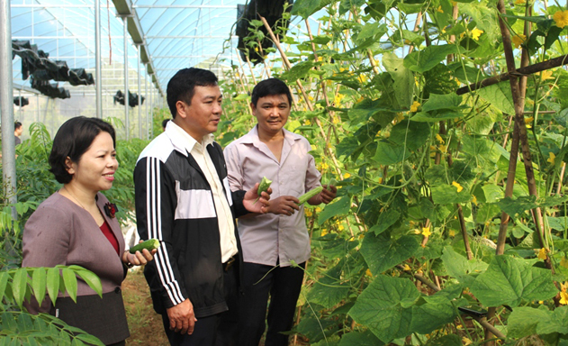 Sản phẩm thế mạnh đang góp phần thúc đẩy NTM huyện Sơn Động