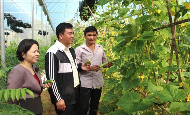 Sản phẩm thế mạnh đang góp phần thúc đẩy NTM huyện Sơn Động