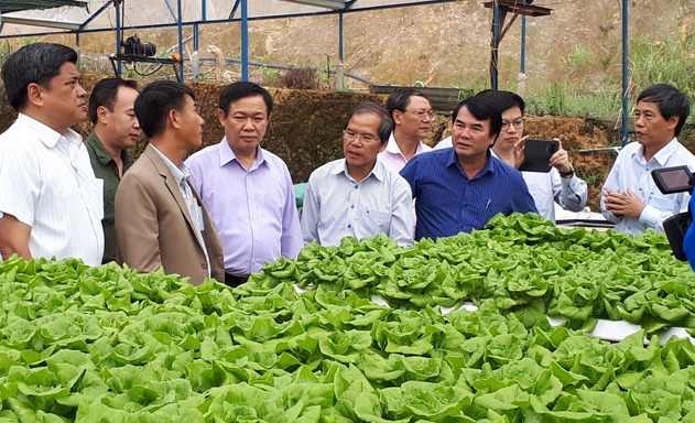 ​Phó Thủ tướng Vương Đình Huệ khảo sát chuỗi rau an toàn của HTX ở Lâm Đồng