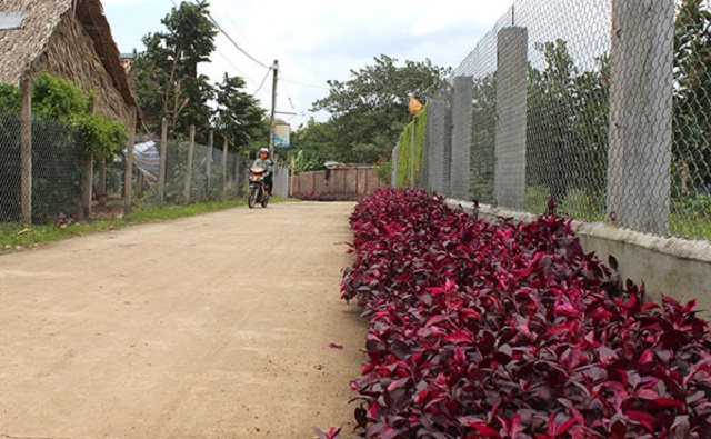 Những tuyến đường sạch đẹp ở Xuân Bắc