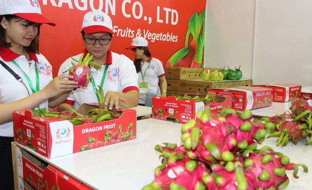 XK rau quả năm 2020 được kỳ vọng đạt khoảng 5 tỷ USD