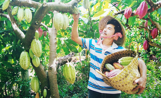 Bà Rịa - Vũng Tàu đang đẩy mạnh sản xuất theo hướng hữu cơ