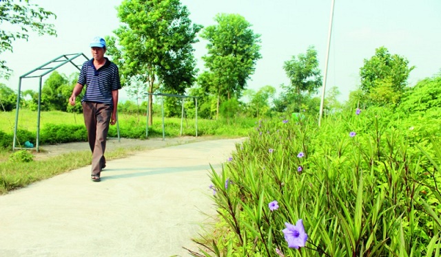 Vĩnh Quỳnh đang đạt được những hiệu quả tích cực trong bảo vệ môi trường