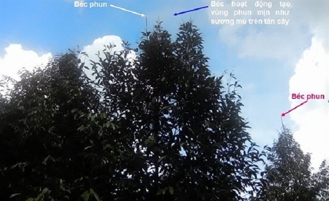 Hệ thống phun thuốc BVTV