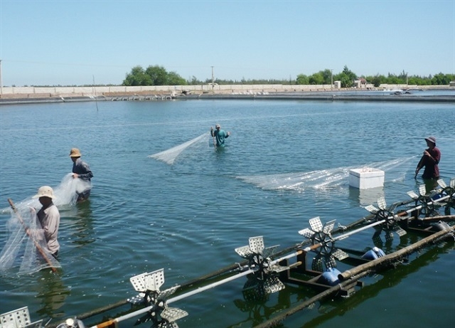 Mô hình nuôi trồng thủy sản an toàn đang phát triển mạnh ở Can Lộc