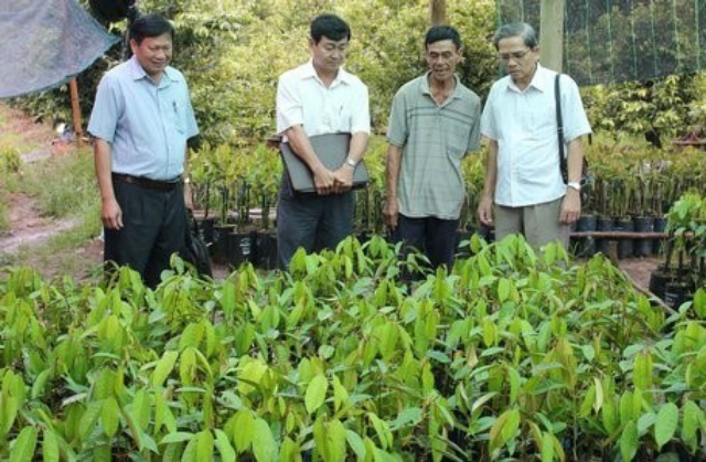 Trong ảnh là giám sát tại HTX nông nghiệp Chánh An