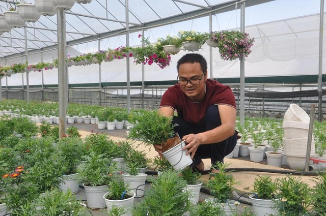 Anh Nguyễn Thanh Hải - Chủ nhiệm HTX Hoa Bình Liêu