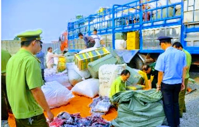 Chính phủ ban hành Nghị quyết chống gian lận xuất xứ, chuyển tải hàng hóa bất hợp pháp (Ảnh Internet)