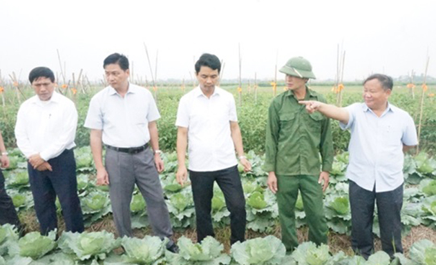 Hội Nông dân thăm mô hình sản xuất rau an toàn của HTX