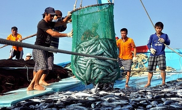 Ngành thủy sản tiếp tục đối mặt với nhiều thách thức trong năm 2020