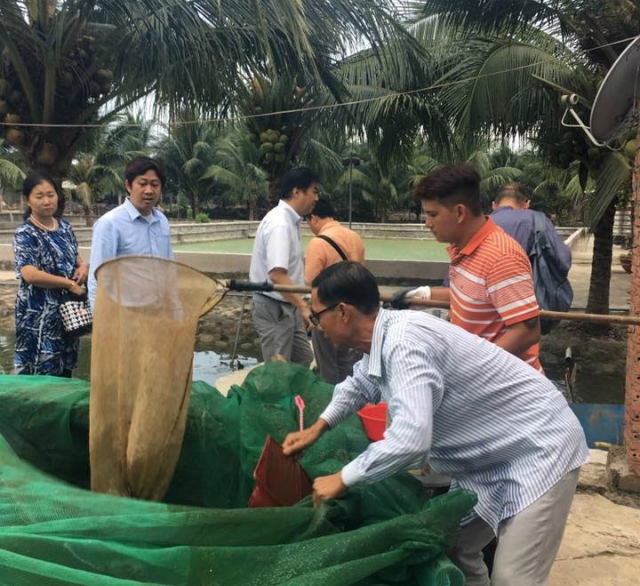 Phái đoàn Nhật tham quan mô hình nuôi cá chình của HTX.