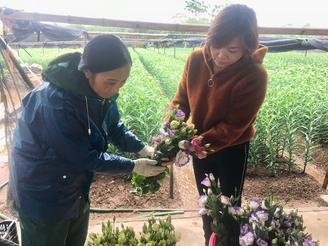 Doanh thu từ trồng hoa của HTX khoảng 3 tỷ đồng mỗi năm