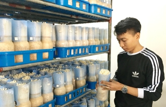 Hà Nội: Gần 80 tỷ đồng quỹ khuyến nông hỗ trợ 248 dự án nông nghiệp (Ảnh Internet)