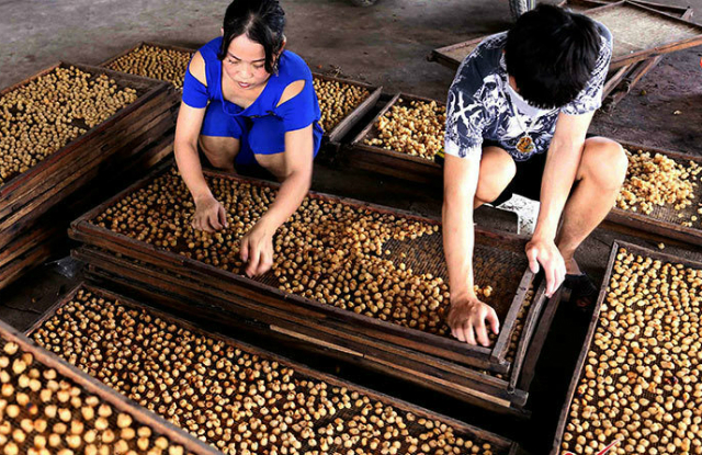 Tây Ninh chú trọng nâng cao hiệu quả công tác đào tạo nghề cho lao động nông thôn