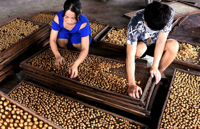 Tây Ninh chú trọng nâng cao hiệu quả công tác đào tạo nghề cho lao động nông thôn