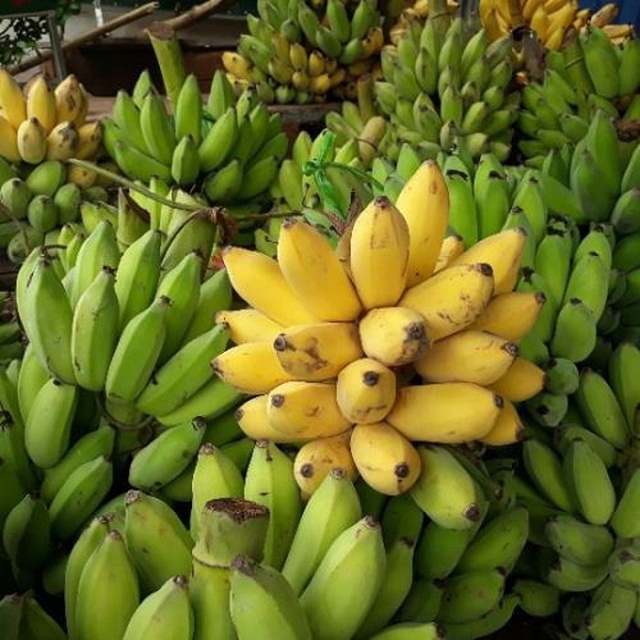 Đặc sản chuối Yên Châu